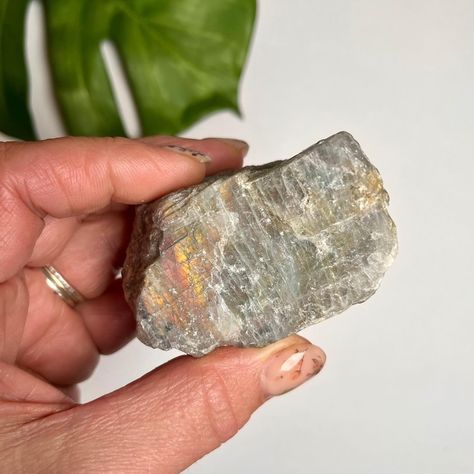 Labradorite Love. ❤️ #crystals #crystalshop #labradorite #crystalstones #crystallove Crystal Protection, Crystal Store, Crystal Labradorite, Raw Labradorite, Labradorite Raw, Purple Flash, Love Crystals, Crystals Store, Protection Crystals