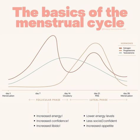 Emma✨Hormone & PCOS Naturopath on Instagram: “What even happens to our hormones during a menstrual cycle? A ‘textbook’ cycle lasts 28 days and has 4 distinct phases throughout the…” Cycle Pictures, Increase Appetite, Increase Confidence, 28 Days, Energy Level, How To Increase Energy, Cycling, Energy, Education