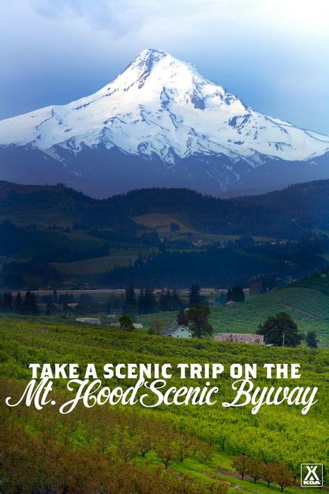 Mt. Hood Scenic Byway is an Oregon Adventure Portland Oregon City, Sherwood Oregon, Travel Oregon, Mount Hood, Oregon City, Hood River, Pacific Nw, Oregon Trail, Mt Hood