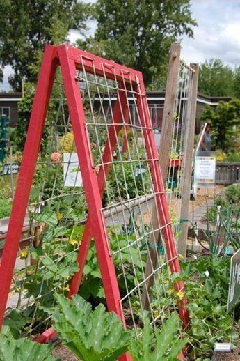 Garden Trellis Panels, Garden Trellis Designs, Garden Trellis Ideas, Pea Trellis, Tomato Trellis, Cucumber Trellis, Plant Structure, Diy Garden Trellis, Trellis Ideas