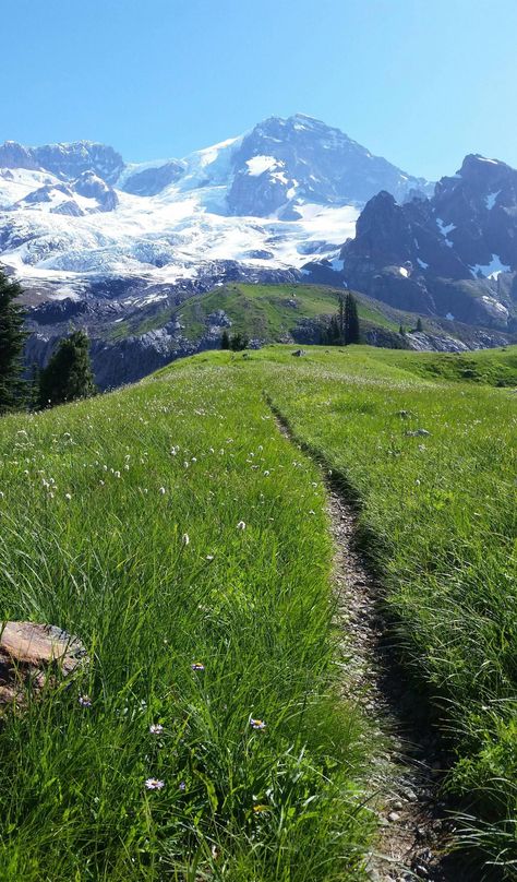 Wonderland Trail Mt. Rainier [1712x2920] [OC] Wonderland Trail, Mt Rainier, Foto Art, Alam Yang Indah, Nature Aesthetic, Pretty Places, Nature Travel, Amazing Nature, Nature Pictures