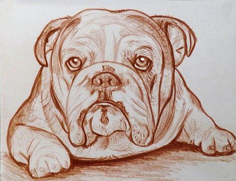 English Bulldog Art, Bulldog Drawing, Animal Portraits Art, Bulldog Art, Dog Artwork, Old English Bulldog, Pencil On Paper, Dog Drawing, Love Drawings