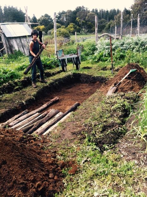 Raised Garden Bed Soil, Hugelkultur Garden, Harvest Garden, Permaculture Garden, Permaculture Gardening, Yard Waste, Gardening Techniques, Margaret River, Garden Harvest