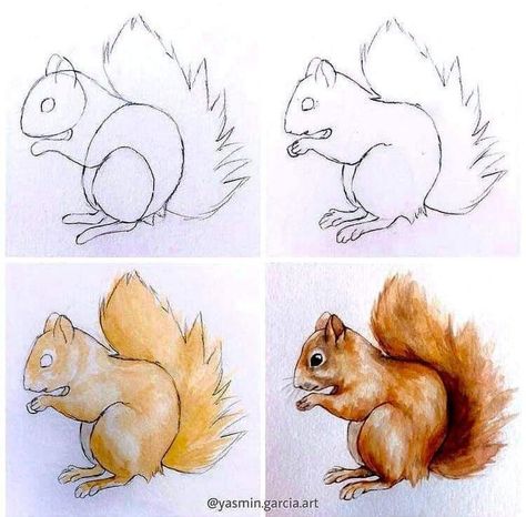 Whimsy Art Animals, Watercolor Animals Easy Step By Step, Watercolour Animals Easy, Animal Drawings Sketches Step By Step, Watercolor Animals Easy, Squirrel Drawings, Squirrel Sketch, Drawing Squirrel, Animal Sketches Easy