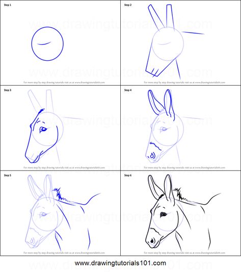 How to Draw a Donkey Face printable step by step drawing sheet : DrawingTutorials101.com How To Draw A Donkey Face, Donkey Face Drawing, Donkey Sketch Easy, How To Draw Donkey, How To Paint A Donkey, Donkey Painting Easy, How To Draw A Donkey Step By Step, Donkey Drawing Sketches, Donkey Paintings On Canvas