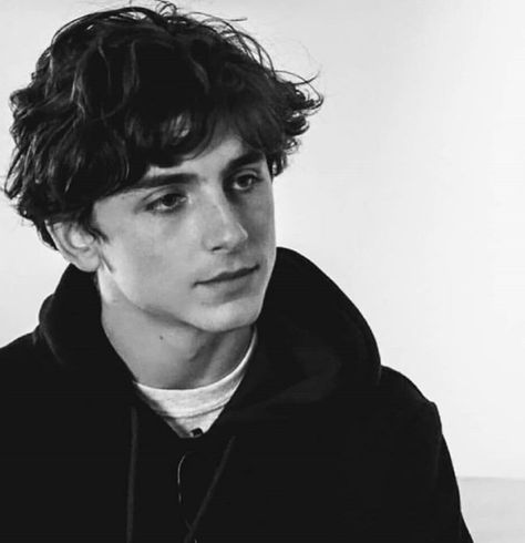 Timothee Chalamet Mustache, My Favourite Teacher, Tim Tam, Timmy T, Regulus Black, Timothee Chalamet, White Boys, Man Crush, Harry Styles