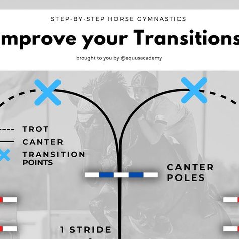 Horse Pole Exercises, Polework Exercises Horse, Pole Work For Horses, Horse Training Program, Equestrian Workout, Horse Training Ground Work, Jumping Exercises, Horse Training Exercises, Horse Lessons