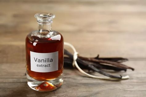 How to Make an Insect Repellent With Vanilla Extract | Hunker Gnat Repellant, Mosquito Repellent Homemade, Make Vanilla Extract, Homemade Vanilla Extract, Natural Mosquito Repellant, Turkey Recipes Thanksgiving, Vanilla Paste, Ingredient Substitutions, Natural Insect Repellant