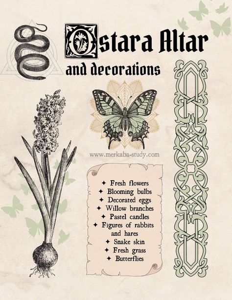 11 Ostara Rituals – Great ideas for celebrating Spring Equinox 2021 ⋆ Witch Journal Spring Equinox 2023, Ostara 2023, Ostara Aesthetic, Ostara Goddess, Goddess Ideas, Spring Equinox Ritual, Ostara Ritual, Wicca Holidays, Witch Journal