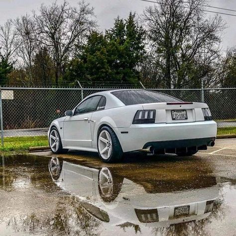 99 04 Mustang Gt, Notchback Mustang, 04 Mustang, Sn95 Mustang, Ford Mustang Saleen, New Edge Mustang, 2002 Ford Mustang, 2000 Ford Mustang, Chevy Diesel Trucks