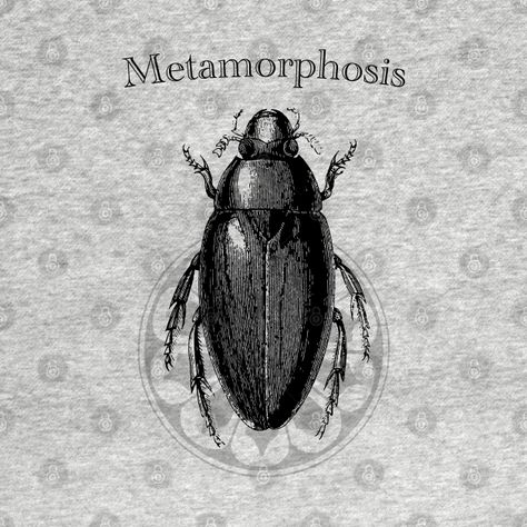 Beetle Metamorphosis, Metamorphosis Kafka, Beetle Design, Beetle Tattoo, Graphics Tees, Line Art, Graphic Tees, Tshirt Designs, T Shirts