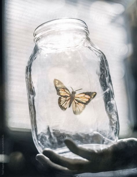 Holding A Jar Reference, Jar Reference, Butterflies In A Jar, Jar Of Butterflies, Butterfly In A Jar, Couple Dynamics, Jar Drawing, Butterfly Man, Butterfly Pose