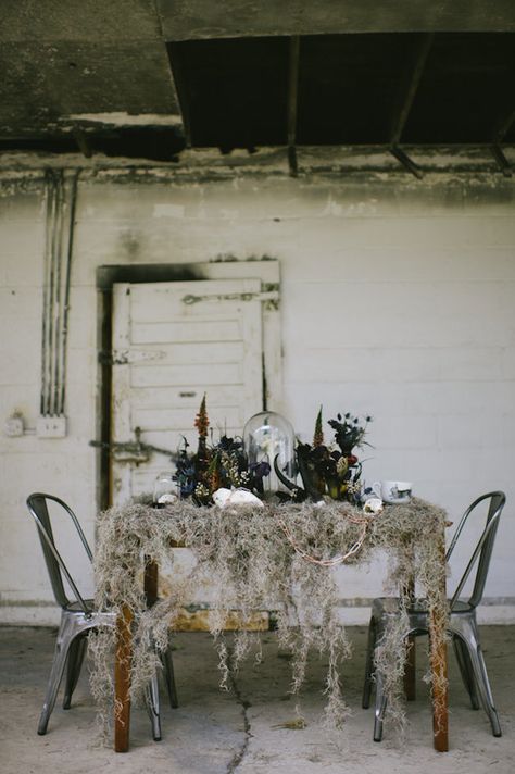 mossy tablescape, photo by Rach Lea Photography http://rufflebdlog.com/halloween-oddities-inspiration-shoot #tablescapes #weddingideas Rock And Roll Wedding, Skulls And Snakes, Voodoo Halloween, Fashion Costume Halloween, Rock N Roll Wedding, Halloween Tablescape, Halloween Backdrop, Wedding Styled Shoot, Pink Christmas Decorations