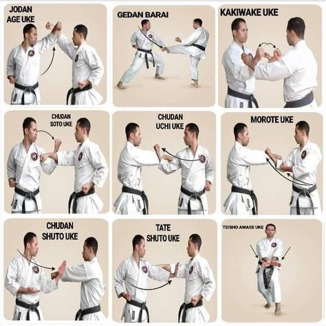 Karate Techniques, Shotokan Karate Kata, Karate Kumite, Martial Arts Books, Karate Moves, Karate Kata, Karate Dojo, Martial Arts Sparring, Martial Arts Quotes