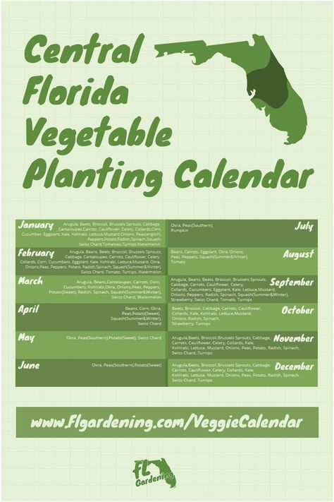 Central Florida Vegetable Planting Calendar Vegetable Garden In Florida, North Florida Gardening Vegetable, Florida Planting Zones, Florida Gardening Vegetable Zone 9, Gardening In Florida Panhandle, Northwest Florida Gardening, Florida Panhandle Gardening, Florida Vegetable Gardening Raised Beds, Zone 9 Gardening Florida