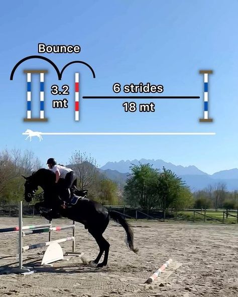 Allevamento Donegana on Instagram: "👉Improve COLLECTION and master STRIDE CONTROL and ADJUSTABILITY! ⬆️Save the exercise!⬆️     ⏩LEVEL:  🟡Easy - Medium   ⏩SET UP:  1 ground pole, 1 cavalletti, 1 oxer   ⏩AIM:  This exercise is suitable for riders and horses of all levels and allows us to practise the above mentioned skill set, which becomes essential when we have to jump a whole course. Also, it makes the rider conscious of longer lines and how to properly ride them. ⏩PRO TIP:  It is important Horse Jumping Courses, Jumping Exercises For Horses, Equestrian Jumping Exercises, Horse Training Program, Equestrian Workout, Horse Jumping Exercises, Riding Ideas, Pony Play, Equestrian Jumping