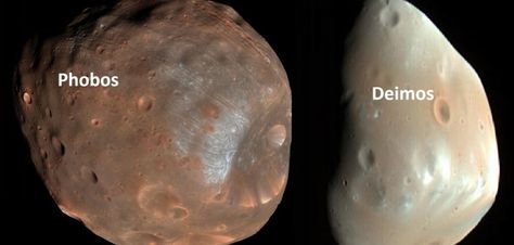 Explaining the Birth of the Martian Moons Phobos Moon, Deimos Moon, Phobos Deimos, Mars Facts, Mars Moons, Two Moons, Moon Names, Solar Systems, Satellite Image