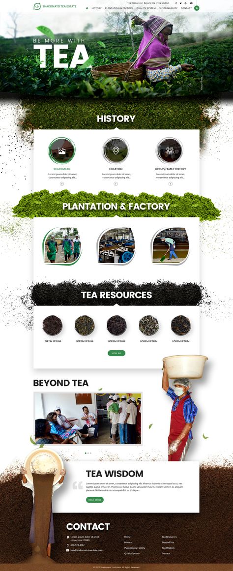 Website design «Tea Processing» #webdesign #tea Organic Tea Brands, Ux Design Trends, Tea Website, Graphic Design Posters Layout, Tea Logo, Website Design Wordpress, Tea Company, Creative Web Design, Restaurant Menu Design