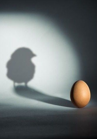 Egg Advertising, Egg Reference Photo, Eggs Still Life, Egg Surrealism, Egg Artwork, Illustration Art Girl, A Moment In Time, Shadow Work, Egg Art