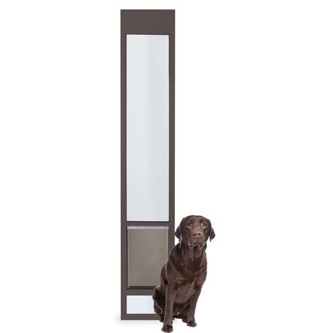 Doggie door ideas