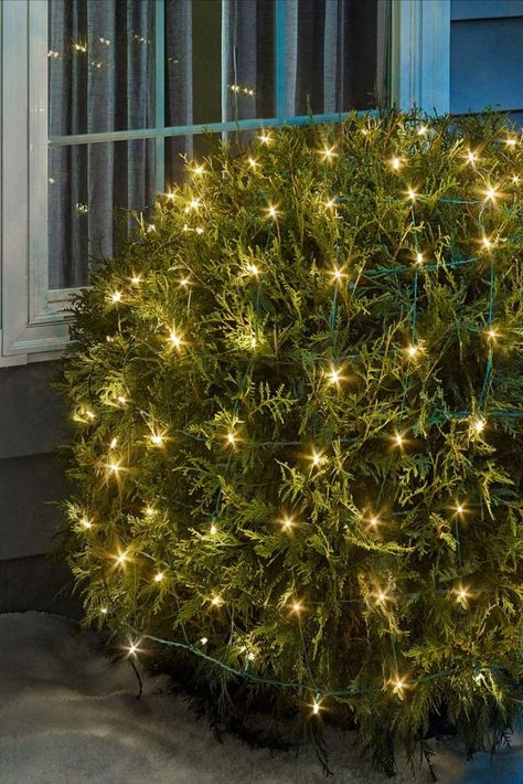 These Christmas lights for bushes last up to 20 times longer than most incandescent bulbs! In addition, they provide up to 82% in energy savings, making them the perfect Autumn and Winter decoration year after year. Christmas Net Lights, Icicle Christmas Lights, Christmas Lights Outside, Mesh Lighting, Lights For Christmas, Net Lights, Indoor String Lights, Garden Christmas, Outdoor Christmas Lights