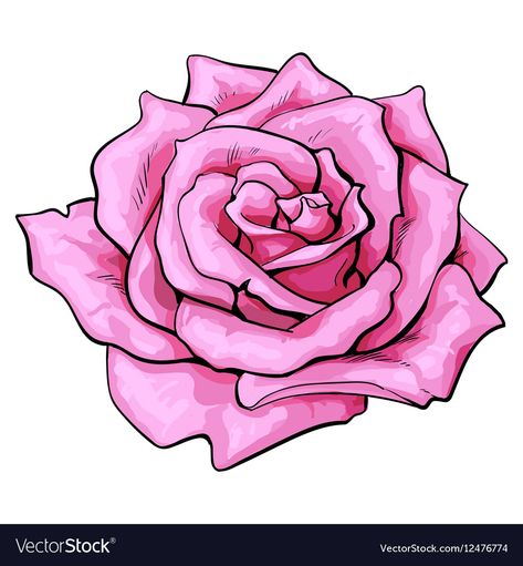 View Sketch, Rose Sketch, Beautiful Flower Drawings, Open Rose, Rose Drawing, Red Rose Flower, Roses Drawing, Sketch Style, Pink Rose Flower