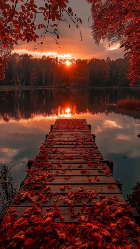 Fall Background, Sun Setting, Breathtaking Places, Autumn Scenes, Autumn Scenery, Wallpapers Iphone, Fall Pictures, Beautiful Nature Wallpaper, Autumn Landscape