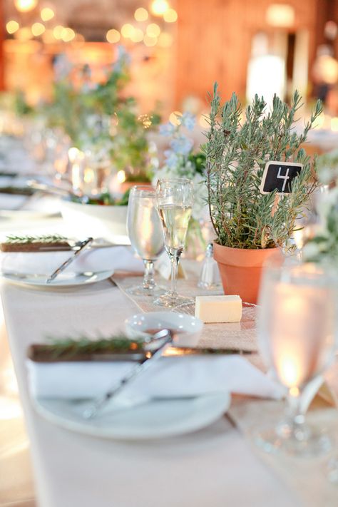 Navy + Gray Mount Hope Farm Wedding  Read more - http://www.stylemepretty.com/rhode-island-weddings/bristol/2014/02/17/navy-gray-mount-hope-farm-wedding/ Edible Centerpieces, Rhode Island Wedding, Wedding Reception Locations, Wedding Venue Inspiration, Modern Wedding Cake, Herb Pots, Tuscany Wedding, Color Mix, Wedding Candles