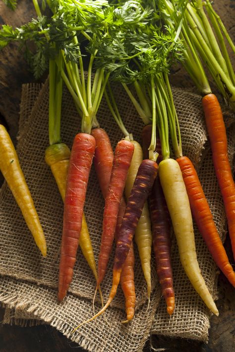 PRICES MAY VARY. Yields an average of 280 “Stellar Carrot Mix” Carrot plants per packet or roughly 37 lbs of Beautiful, Intensely Colored Rainbow Carrots after just 80 days. Colorful and Nutritious: The "Stellar Mix" includes a variety of carrot colors, such as purple, red, orange, yellow, and white. Each color signifies different nutrients and antioxidants, like beta-carotene in orange carrots and anthocyanins in purple ones. Enhanced Flavor Profile: Rainbow carrots from the Stellar Mix are kno Carrots Aesthetic, Carrot Aesthetic, Carrot Photography, Carrot Plant, Colored Carrots, Dude Birthday, Orange Carrots, How To Plant Carrots, Colorful Carrots