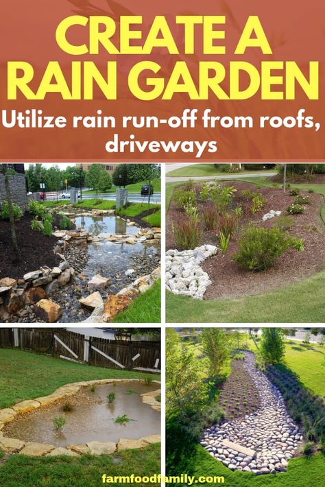 Consider building a rain garden to help conserve water, re-use rain run-off and create a natural environment for birds and beneficial insects in the yard. Rain Garden Diy, Rain Garden Design, Backyard Drainage, Conserve Water, Piscina Natural, Meteor Garden 2018, Magic Garden, Dry Creek, Diy Water