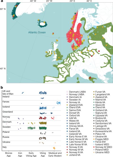 Ancient DNA analyses reveal that Viking Age migrations from Scandinavia resulted in differential influxes of ancestry to different parts of Europe, and the increased presence of non-local ancestry within Scandinavia. Viking Ancestry, Norwegian Ancestry, Dna Analysis, Uppsala University, Next Generation Sequencing, Novo Nordisk, Google Scholar, Viking History, Family Genealogy