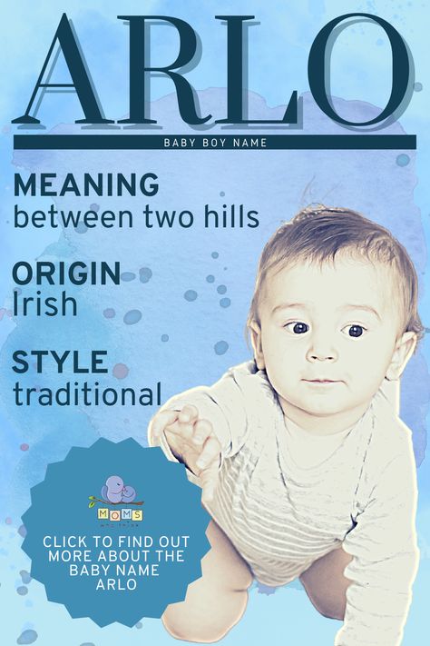 Arlo is an adorable name that was once solely used for boys. In modern times, however, it transitioned to a unisex option. As of 2020, Arlo is a top 300 name at rank 220. #boyname #babyname Arlo Name, Boy Name Meanings, Male Names, Middle Names For Girls, Italian Baby Names, Middle Names, Getting Ready For Baby, Fantasy Names, Creative Names