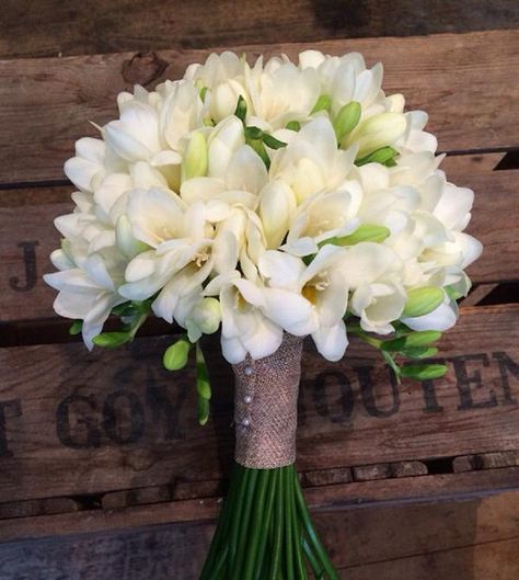 White Freesia bridesmaid bouquet Freesia Bridesmaid Bouquet, Hellebore Wedding, Freesia Bouquet, White Freesia, Classic Elegant Wedding, Bride's Bouquet, Wedding Moodboard, Bridal Bouquet Flowers, White Bridal Bouquet