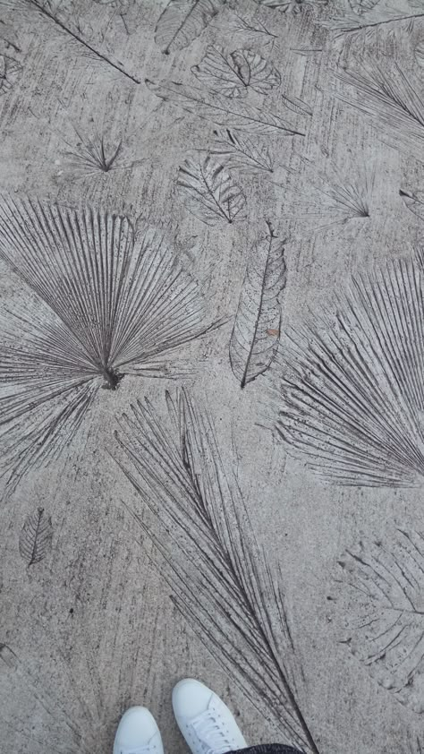 Concrete Art Patio, Concrete Imprint Ideas, Leaf Imprint Concrete, Concrete Imprint, Patterned Concrete, Wet Concrete, Printed Concrete, Concrete Path, Concrete Leaves