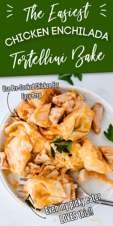 Chicken Enchilada Tortellini Bake Recipe - MenuPlans.com Making Menu Planning Easy! Chicken Enchilada Tortellini, Chicken Enchilada Tortellini Bake, Enchilada Tortellini, Crockpot Chicken Enchiladas, Enchilada Pasta, Tortellini Bake, Frozen Pasta, Chicken Parmesan Casserole, Chicken Tortellini