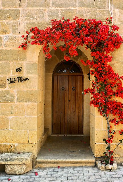 Maltese Door... must do a planting like this one around my new front door... what a wonderful way to walk into someone's home! Arched Front Door, Garden Fence Ideas, Wood Arch, Cool Doors, House Front Door, Fence Ideas, Old Doors, Unique Doors, Bougainvillea