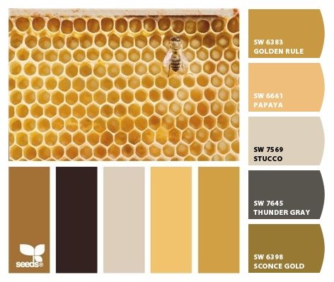 Bumblebee Color Palette, Honeycomb Color Palette, Beehive Color Palette, Honey Interior Design, Goldenrod Color Palette, Yellow Paint Palette, Honey Pallete, Honey Paint Color, Yellow Pallete Color