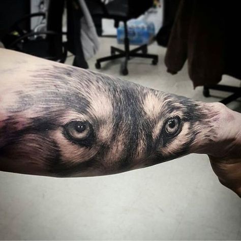 Wolf Eye Tattoo, Eye Tattoo On Arm, Wolf Pack Tattoo, Eye Tattoo Meaning, Wolf Sleeve, Lup Singuratic, Watt Pad, Tattoo Wolf, Wolf Eyes