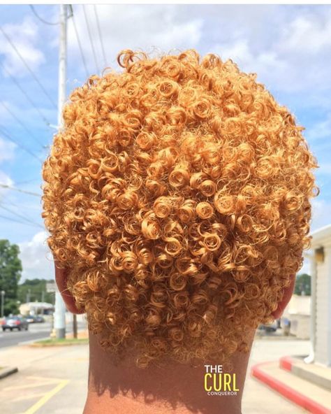 Low Cut Hairstyles, Voice Of Hair, Short Dyed Hair, Short Natural Curly Hair, Color Rubio, Natural Hair Cuts, Honey Brown Hair, Natural Hair Short Cuts, Blonde Curls