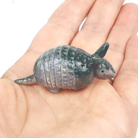 Clay Armadillo, Canadian Prairies, Porcelain Animal, Ceramics Ideas, Ceramic Ideas, Clay Animals, Kids Area, Ceramic Animals, Ceramics Ideas Pottery