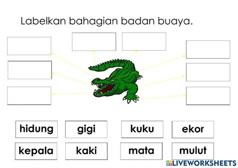 Anggota badan haiwan online worksheet for prasekolah. You can do the exercises online or download the worksheet as pdf. The Worksheet, Online Activities, Online Workouts, Printable Worksheets, Ipa, Reptiles, You Can Do, Indonesia, Quick Saves