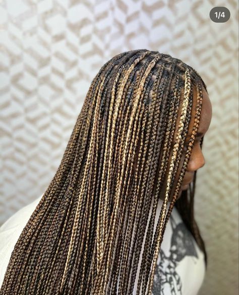 Black And Blonde Box Braids Mixed, Extra Small Braids, Knotless Braids Blonde, Braids Parting, Small Knotless Braids, Braids Blonde, Small Knotless, Small Box Braids, Beautiful Black Hair