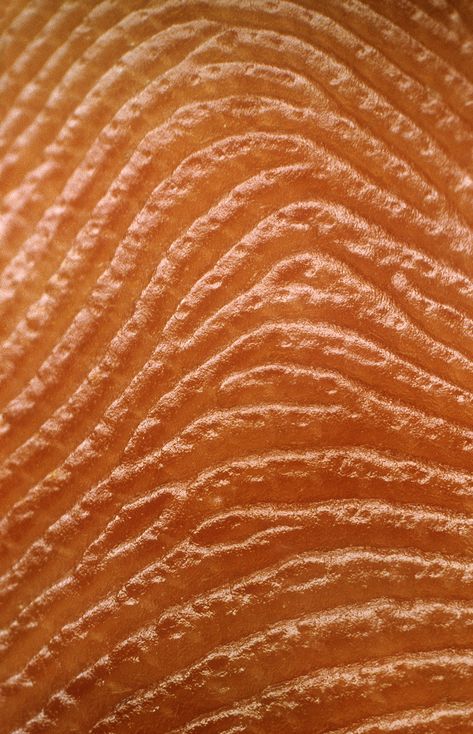 This close-up on the ridges and grooves of a human fingerprint. | 17 Pictures That Reveal How Insanely Huge The World Really Is Macro Photography Tips, Close Up Art, Leaf Vector, Eye Close Up, Extreme Close Up, Elements And Principles, Body Photography, Texture Inspiration, Texture Photography