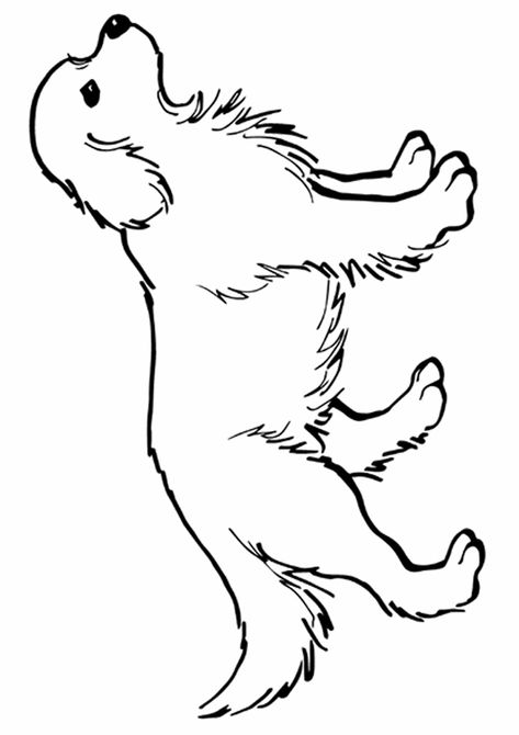 The-golden-retriever Golden Retriever Coloring Pages, Dog Running Drawing, Draw Dogs, Sunshine Committee, Dog Line Drawing, Dog Outline, Dog Patterns, Dog Quilts, Dog Coloring Page