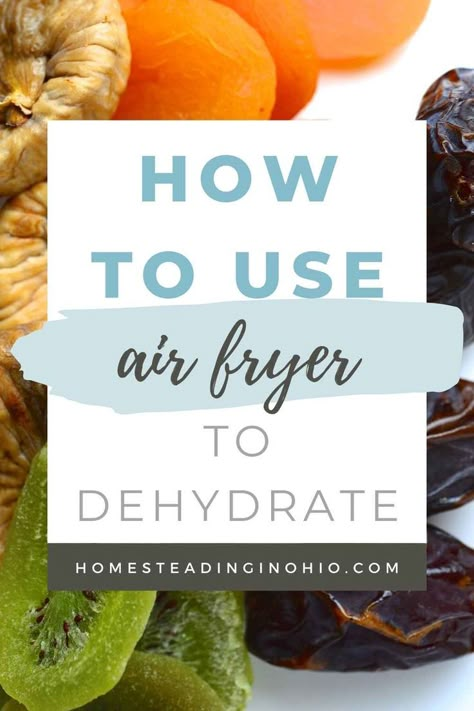 Dehydrate In Air Fryer, Dehydrating In Air Fryer, Dehydrate Herbs, Dehydrator Recipes Fruit, Dried Fruit Recipe, Dehydrated Strawberries, Dehydrated Apples, Food Dehydration, New Air Fryer Recipes