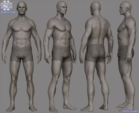 Starwars : The Force Unleashed II - Apprentice`s clone (zbrush hires model) by Alessando Baldasseroni Character 360, Anatomy Help, Harley 48, Human Anatomy Reference, Fantasy Angel, Start Studying, Mid Term, Male Anatomy, Character Design Tutorial