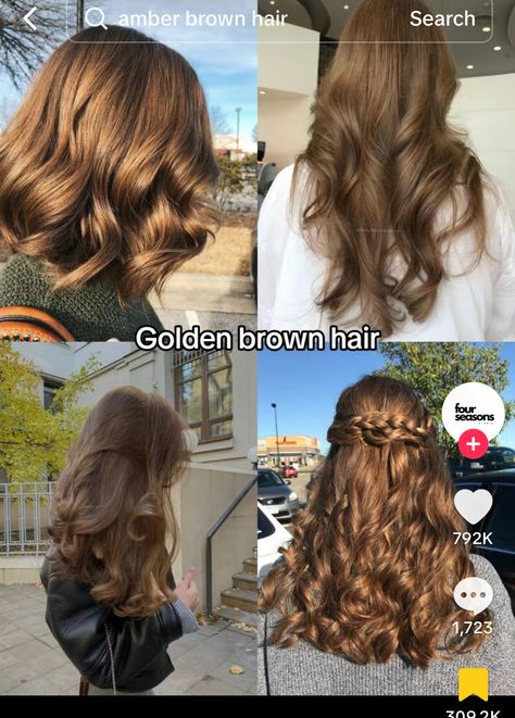 Golden Brunette Hair Color, Hair Shades Of Brown, Natural Brown Hair Color Ideas, Short Golden Brown Hair, Golden Brown Hair Colors, Shades Of Brown Hair, Golden Brown Hair Color, Golden Brown Hair, Brown Hair Shades