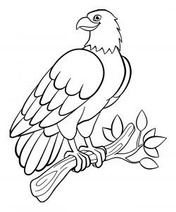 Birds - Free printable Coloring pages for kids Bird Coloring Page, Flamingo Coloring Page, Bird Coloring, Coloring Book Download, Coloring Worksheets, Eagle Bird, Bird Coloring Pages, Unicorn Coloring Pages, Cool Coloring Pages