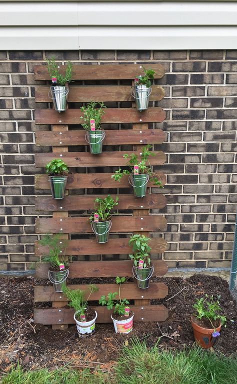 Love my herb garden! Made from repurposed picket fence! Repurpose Fence Pickets, Repurposed Picket Fence Ideas, Diy With Old Fence Boards, Fence Pickets Repurposed, Repurpose Fence Panels, Leftover Fence Board Ideas, Repurpose Fence Boards, Picket Fence Ideas Crafts Easy Diy, Old Picket Fence Ideas Diy Projects