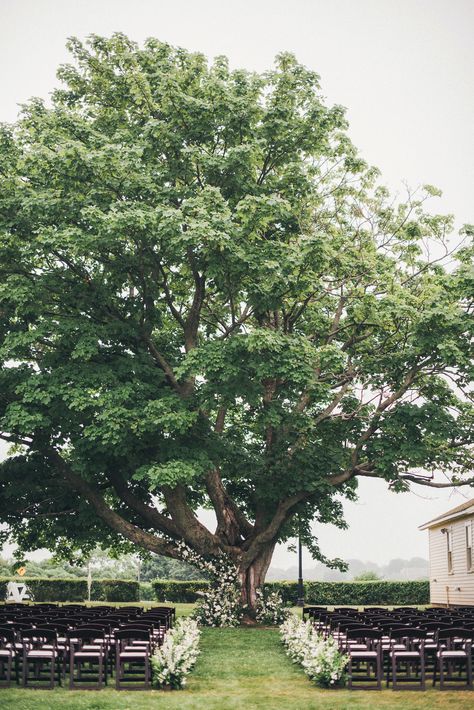 Ceremony In Front Of Tree, Wedding Ceremony In Front Of Tree, Wedding In Front Of Tree, Tree Wedding Ceremony, Willow Tree Wedding, Huge Tree, West Coast Style, Elm Tree, West Coast Fashion